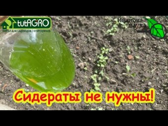 СЕКРЕТ ПЛОДОРОДИЯ: никаких СИДЕРАТОВ, а простой раствор. Раз опрыскал и почва снова плодородная!