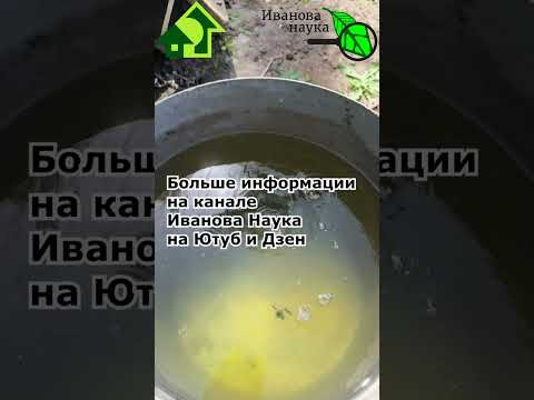 На кабачках и тыкве сплошные пустоцветы? Вот как убирать пустоцветы на кабачках и тыквах. На кабачках и тыкве сплошные пустоцветы? Вот как убирать пустоцветы на кабачках и тыквах.