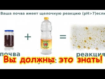 ВАМ ВРУТ О КИСЛОТНОСТИ ПОЧВЫ! Вот что надо знать - самое главное о кислотности почвы.