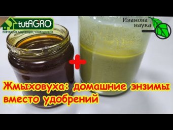 В 100 раз лучше удобрений: жмыховуха домашние энзимы для рассады и не только.