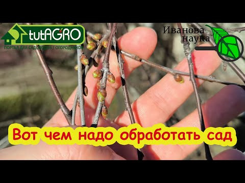 НЕ ОПОЗДАЙТЕ С ЭТОЙ ОБРАБОТКОЙ САДА! Чем обработать деревья и кустарники в АПРЕЛЕ?