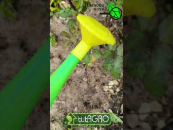 Смертельная ошибка огородника: как не убить свою почву! Дёшево и сердито: протравливание почвы.