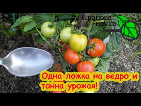 5-й ЭЛЕМЕНТ урожая всех растений. Одна ложка на ведро и томаты ведрами! 5-й ЭЛЕМЕНТ урожая всех растений. Одна ложка на ведро и томаты ведрами!