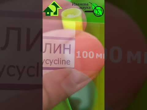 ЭТИМ СРЕДСТВОМ ВЫГОНЯЕМ МУХУ, СЛИЗНЕЙ, КИВСЯКОВ и ДОЛГОНОСИКА.