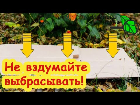СОБИРАЙТЕ ЭТО ВСЮ ЗИМУ и БУДЕТЕ С БОЛЬШИМ УРОЖАЕМ! Не вздумайте выбрасывать это супер средство! СОБИРАЙТЕ ЭТО ВСЮ ЗИМУ и БУДЕТЕ С БОЛЬШИМ УРОЖАЕМ! Не вздумайте выбрасывать это супер средство!