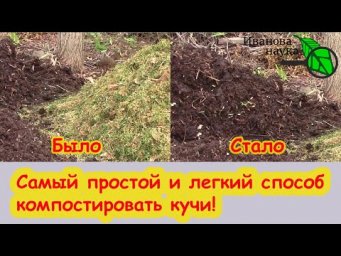 НИ В КОЕМ СЛУЧАЕ НЕ КЛАДИТЕ ЭТО В КОМПОСТ! Как сделать компост безопасным и полезным.