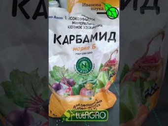 Даже ХИЛАЯ рассада окрепнет и оживет от этого средства #огород #дача #сад #рассада #советыдачникам