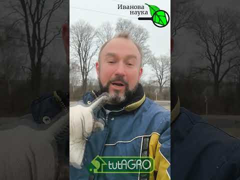 СУПЕР Грунт! Бесплатная земля для рассады. Забудьте о покупном грунте! Берем землю ЗДЕСЬ.