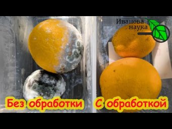 ХРАНЕНИЕ УРОЖАЯ БЕЗ ПОТЕРЬ! Чем натуральным обработать урожай, чтобы он долго не портился.