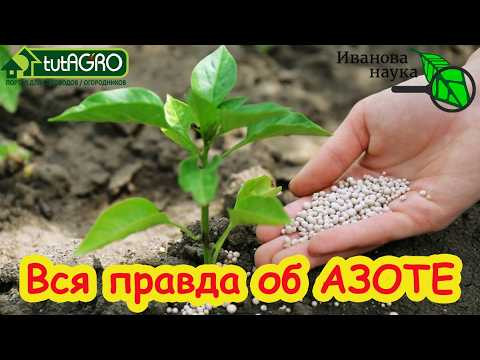 АЗОТНЫЕ УДОБРЕНИЯ: Секреты высоких урожаев. Чем подкормить весной и летом? Лучший источника азота. АЗОТНЫЕ УДОБРЕНИЯ: Секреты высоких урожаев. Чем подкормить весной и летом? Лучший источника азота.