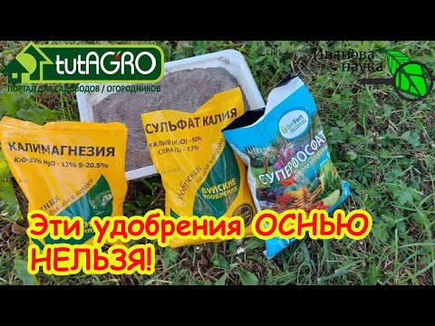 ЭТИ УДОБРЕНИЯ ОСЕНЬЮ ИСПОЛЬЗОВАТЬ НЕЛЬЗЯ! Не наделайте ошибок осенью. ЭТИ УДОБРЕНИЯ ОСЕНЬЮ ИСПОЛЬЗОВАТЬ НЕЛЬЗЯ! Не наделайте ошибок осенью.