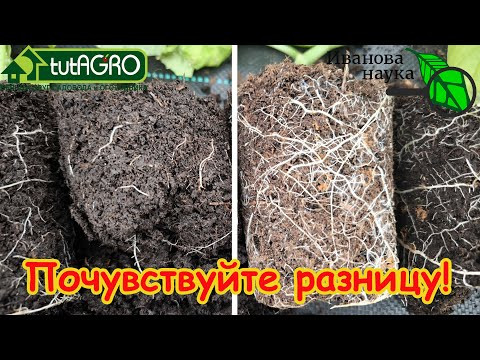 БЕЗ УДОБРЕНИЙ и ПРЕПАРАТОВ! Полностью бесплатный способ вырастить мощную и крепкую рассаду. БЕЗ УДОБРЕНИЙ и ПРЕПАРАТОВ! Полностью бесплатный способ вырастить мощную и крепкую рассаду.