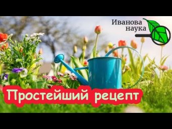 500 г НА ВЕДРО ВОДЫ и нет проблем в саду. Чем обработать сад весной. Сроки весенней обработки сада.