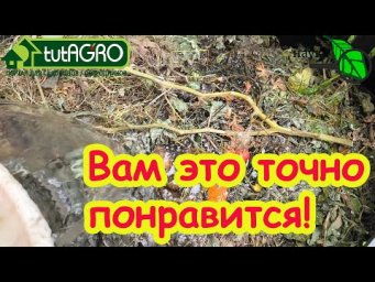 ОТ ЭТИХ СОВЕТОВ В КОМПОСТЕ СПЛОШНЫЕ СЛИЗНИ! Что добавить от вредителей. Пропадут даже муравьи!