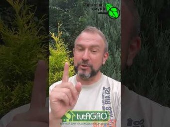 Срочно! Опасный совет, который распространяют в интернете. Как от него уберечься.