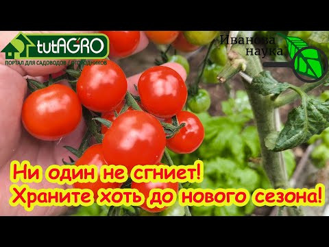 Этот трюк сохранит ваши помидоры и огурцы свежими до Нового года! Метод хранения томатов и огурцов.