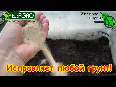 РАССАДА ЖЕЛТЕЕТ, ПАДАЕТ, НЕ РАСТЕТ? Не сейте семена на рассаду, пока не узнаете этот секрет успеха! РАССАДА ЖЕЛТЕЕТ, ПАДАЕТ, НЕ РАСТЕТ? Не сейте семена на рассаду, пока не узнаете этот секрет успеха!