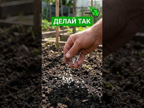 СРОЧНО СДЕЛАЙТЕ ЭТО ПОСЛЕ СБОРА УРОЖАЯ ИЛИ ПОТЕРЯЕТЕ ВСЁ В СЛЕДУЮЩЕМ ГОДУ СРОЧНО СДЕЛАЙТЕ ЭТО ПОСЛЕ СБОРА УРОЖАЯ ИЛИ ПОТЕРЯЕТЕ ВСЁ В СЛЕДУЮЩЕМ ГОДУ