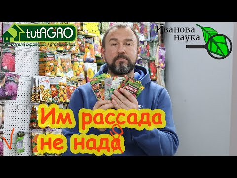 КРАСИВЕЙШИЕ ЦВЕТЫ, КОТОРЫЕ ЗАДУШАТ СОРНЯКИ. Сами сеются, сами растут, сами цветут и БЕЗ УХОДА.