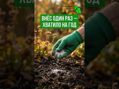 Внеси это в сентябре/октябре &mdash; и земля станет как НОВАЯ! Моё ЛЮБИМОЕ осеннее удобрение.