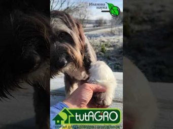 ПРИГЛАШАЮ ВСЕХ ЗА ПРАЗДНИЧНЫЙ СТОЛ!!! Всем подарки!!!