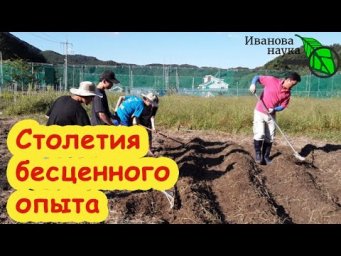 Корейское натуральное земледелие: столетия бесценного опыта, который надо сохранить и применить.