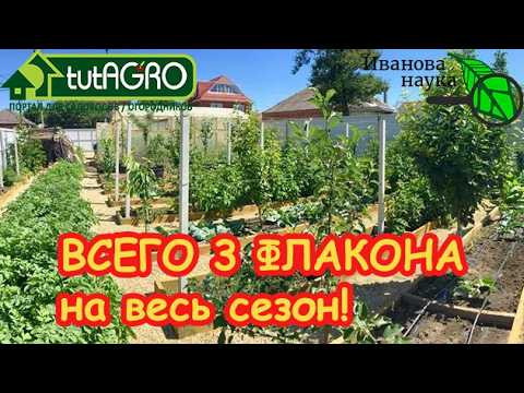 Забудьте про горы химии! Мой ЗОЛОТОЙ СПИСОК. Аптечка садовода: всего 3 средства от посадки до урожая Забудьте про горы химии! Мой ЗОЛОТОЙ СПИСОК. Аптечка садовода: всего 3 средства от посадки до урожая