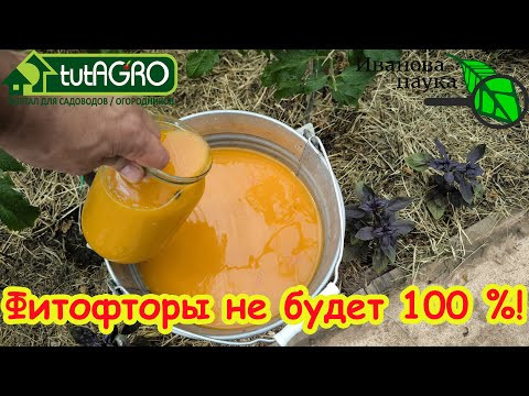 ОРАНЖЕВЫЙ РАСТВОР - СУПЕР СРЕДСТВО ОТ ВСЕХ БОЛЕЗНЕЙ И ВРЕДИТЕЛЕЙ! Испытайте мощь ПРИРОДНОГО СРЕДСТВА ОРАНЖЕВЫЙ РАСТВОР - СУПЕР СРЕДСТВО ОТ ВСЕХ БОЛЕЗНЕЙ И ВРЕДИТЕЛЕЙ! Испытайте мощь ПРИРОДНОГО СРЕДСТВА