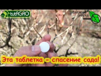ОБРАБОТКА САДА ПРОЩЕ, ДЕШЕВЛЕ и ДОСТУПНЕЕ. С этой ТАБЛЕТКОЙ весь сад в полном порядке. БЕЗ КУПОРОСА!