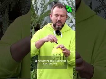 Рассада ПРЁТ ВВЕРХ? Остановите и заставьте рассаду ТОЛСТЕТЬ!