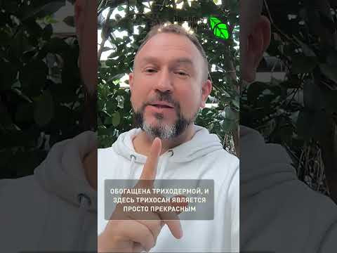 3 дня и готово: укроп для ленивых. Секрет быстрых всходов укропа, петрушки, моркови и сельдерея. 3 дня и готово: укроп для ленивых. Секрет быстрых всходов укропа, петрушки, моркови и сельдерея.