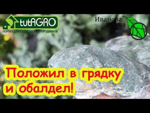 НИКОГДА НЕ ВЫБРАСЫВАЙТЕ ХЛЕБ! остатки хлеба - суперудобрение! Но сперва сделайте вот что. НИКОГДА НЕ ВЫБРАСЫВАЙТЕ ХЛЕБ! остатки хлеба - суперудобрение! Но сперва сделайте вот что.