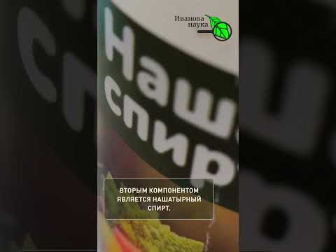 Рассада завяла или пожелтела? Скорая помощь для рассады: как спасти и укрепить  за 1 день.
