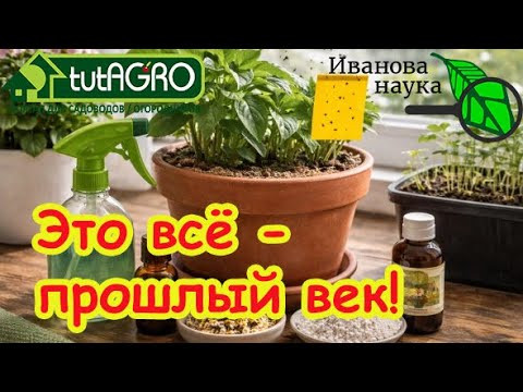 Не слушайте глупых про черных мух! Чёрные мошки в рассаде? Убейте их за 1 минуту БЕЗ ХИМИИ!