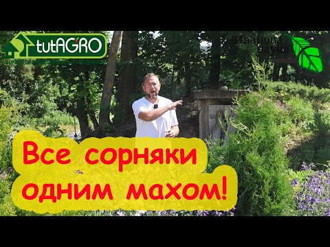 ОДНИМ МАХОМ ИЗБАВИТЬСЯ ОТ ВСЕХ СОРНЯКОВ и ПРОПОЛКИ! Как поменьше работать в огороде и всё успевать.