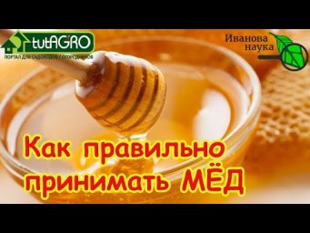 ЕШЬТЕ МЁД ПРАВИЛЬНО! Сколько можно мёда диабетикам и пожилым? Когда есть мёд? Мёд и сахар в крови.