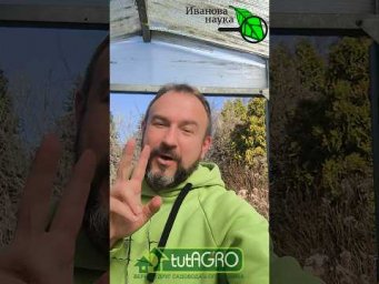 Пустой грунт превращаем в ЧЕРНОЗЕМ! Сделайте так в АПРЕЛЕ и огород завалит урожаем!