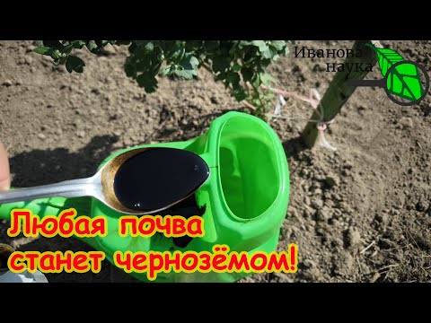 1 ЛОЖКА и ПОЧВА СТАНОВИТСЯ ПУШИСТОЙ и ПЛОДОРОДНОЙ. Наглядно показываю как восстановить убитую почву. 1 ЛОЖКА и ПОЧВА СТАНОВИТСЯ ПУШИСТОЙ и ПЛОДОРОДНОЙ. Наглядно показываю как восстановить убитую почву.