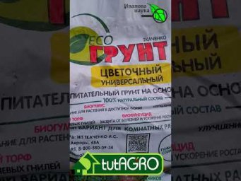 Этот грунт я буду использовать для рассады в 2026 году