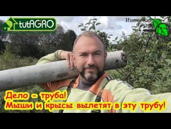 МЫШИ и КРЫСЫ НЕ СПАСУТСЯ - ВЫЛЕТЯТ В ТРУБУ! Эта труба поможет избавиться от грызунов в саду и дома.