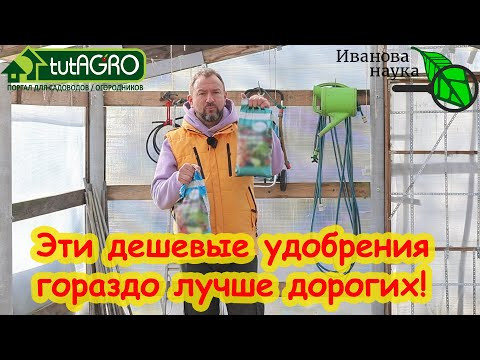 ВНЕСИТЕ ЭТО УДОБРЕНИЕ С ВЕСНЫ И ПОДКОРМКИ БУДУТ НЕ НУЖНЫ! Это дешевое удобрение лучше дорогих!