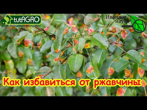 МЫ НАШЛИ ЛУЧШЕЕ СРЕДСТВО ПРОТИВ РЖАВЧИНЫ! Избавьтесь от ржавчины раз и навсегда! МЫ НАШЛИ ЛУЧШЕЕ СРЕДСТВО ПРОТИВ РЖАВЧИНЫ! Избавьтесь от ржавчины раз и навсегда!