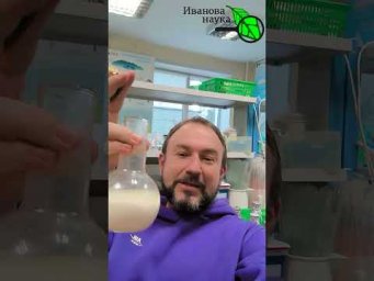 ОКОНФУЗИЛСЯ! Молоко+реутери (Lactobacillus reuteri) превратились в йогурт без добавок.