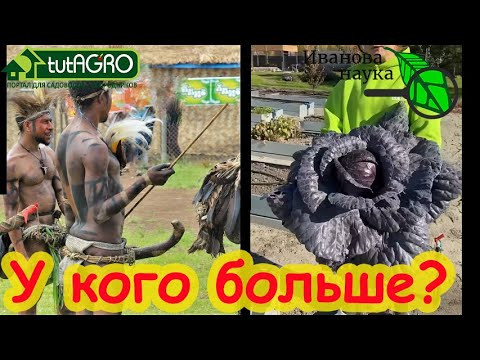 БОЛЬШОЙ ПЕНИС ДЛЯ ВИКТОРИИ КАРЕЛИНОЙ: размер важнее ума? Размер -маркер правоты. Разбор полетов №8 БОЛЬШОЙ ПЕНИС ДЛЯ ВИКТОРИИ КАРЕЛИНОЙ: размер важнее ума? Размер -маркер правоты. Разбор полетов №8