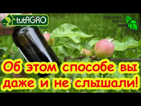 ЗА 1 РУБЛЬ ОБРАБОТАЛ ВСЁ! Тля сдохла, муравьи и слизни ушли к соседям, белокрылка улетела прочь.