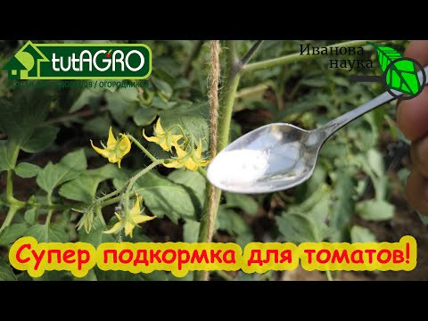ХЕЛАТ БОРА СВОИМИ РУКАМИ: используйте бор правильно. Как не отравить и не отравиться бором? ХЕЛАТ БОРА СВОИМИ РУКАМИ: используйте бор правильно. Как не отравить и не отравиться бором?
