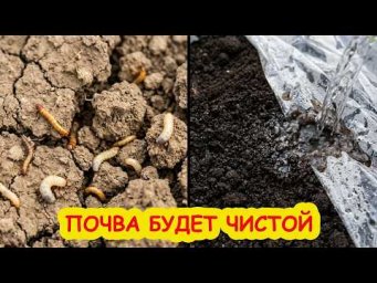 Вместо ТОННЫ химии! Всего 1 СТАКАН и земля как новая! 