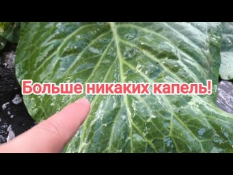 УНИВЕРСАЛЬНЫЙ ДОМАШНИЙ ПРИЛИПАТЕЛЬ: ЛЮБОЙ РАСТВОР ЭФФЕКТИВНЕЕ В 10 РАЗ! Это есть дома у каждого!