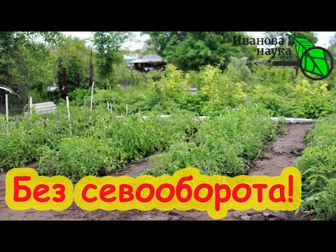 СЕВООБОРОТ НЕ НУЖЕН! Сажаем томаты по томатам, картофель по картофелю, огурцы по огурцам БЕЗ ПРОБЛЕМ СЕВООБОРОТ НЕ НУЖЕН! Сажаем томаты по томатам, картофель по картофелю, огурцы по огурцам БЕЗ ПРОБЛЕМ