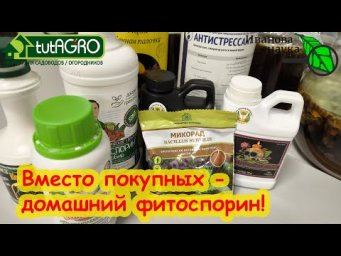 СОБИРАЮ ДОМАШНИЙ ФИТОСПОРИН ЛОЖКОЙ! Как дома самому сделать любой фитоспорин лучше купленного.